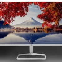 HP_M24_Monitor__2_-removebg-preview-1.png