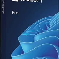 Windows_11_Pro