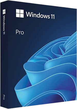Microsoft Windows 11 Pro